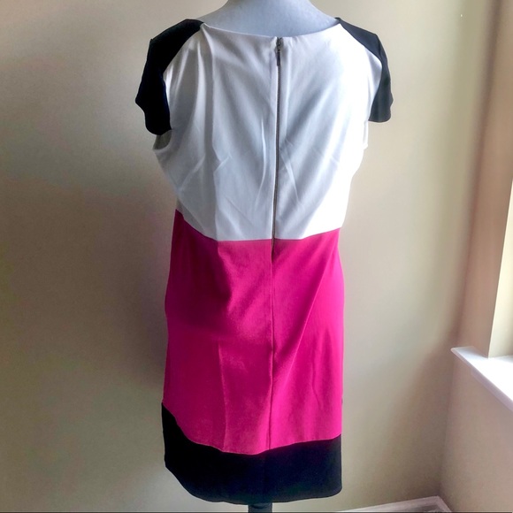 Sunny Leigh Colorblock Dress - Picture 3 of 4